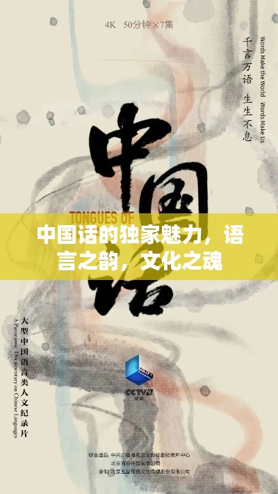 中國(guó)話的獨(dú)家魅力，語(yǔ)言之韻，文化之魂