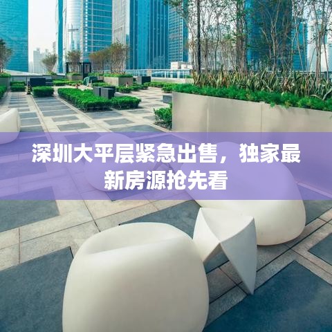 深圳大平層緊急出售，獨(dú)家最新房源搶先看