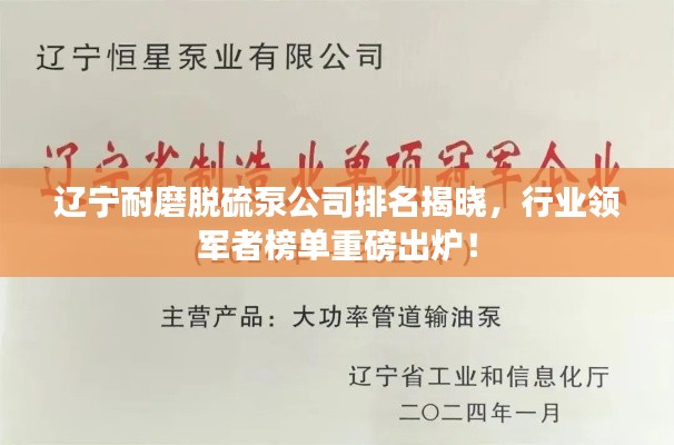 遼寧耐磨脫硫泵公司排名揭曉，行業(yè)領(lǐng)軍者榜單重磅出爐！