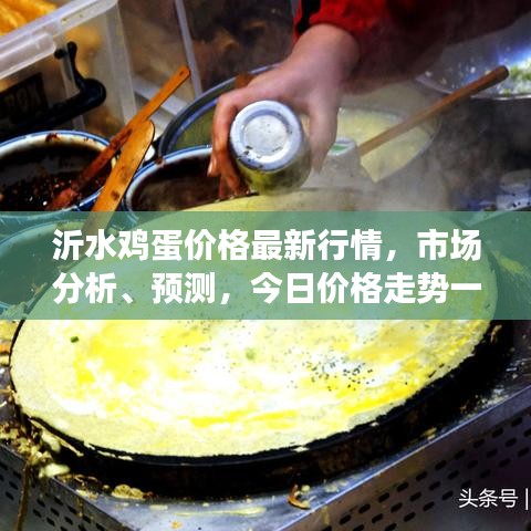沂水雞蛋價格最新行情，市場分析、預(yù)測，今日價格走勢一網(wǎng)打盡！
