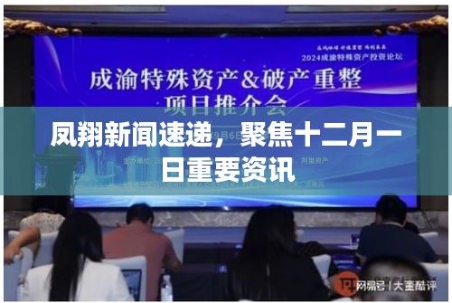 鳳翔新聞速遞，聚焦十二月一日重要資訊
