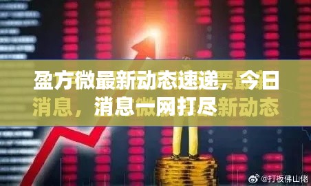 盈方微最新動(dòng)態(tài)速遞，今日消息一網(wǎng)打盡