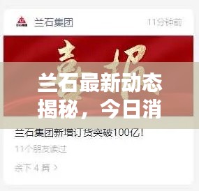 蘭石最新動態(tài)揭秘，今日消息一網(wǎng)打盡！