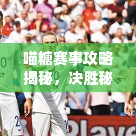 喵糖賽事攻略揭秘，決勝秘訣助你輕松奪冠！