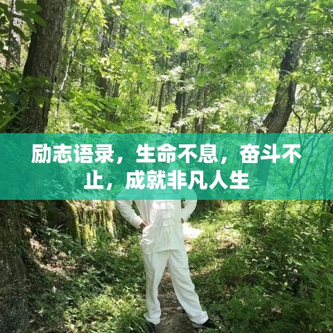 勵志語錄，生命不息，奮斗不止，成就非凡人生