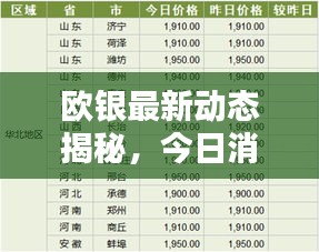 歐銀最新動態(tài)揭秘，今日消息一網打盡！