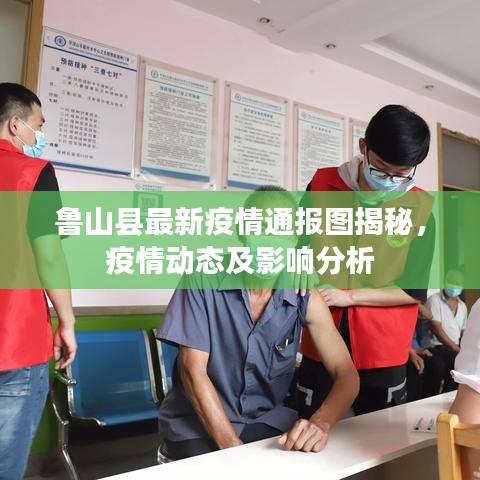魯山縣最新疫情通報圖揭秘，疫情動態(tài)及影響分析