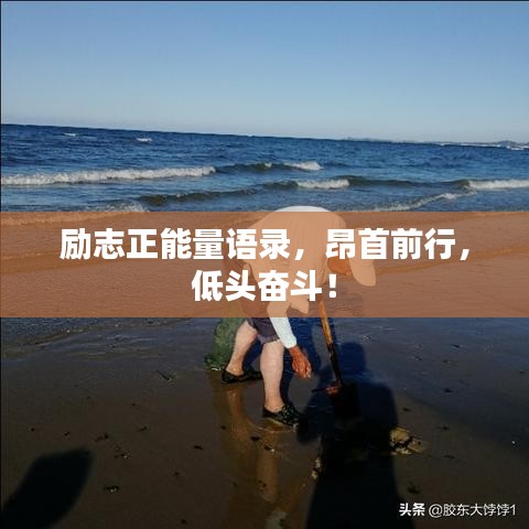 勵(lì)志正能量語(yǔ)錄，昂首前行，低頭奮斗！