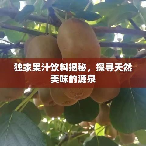 獨家果汁飲料揭秘，探尋天然美味的源泉