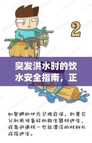 突發(fā)洪水時的飲水安全指南，正確飲水視頻教程助你應對危機