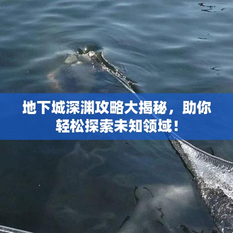 地下城深淵攻略大揭秘，助你輕松探索未知領(lǐng)域！