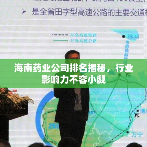 海南藥業(yè)公司排名揭秘，行業(yè)影響力不容小覷