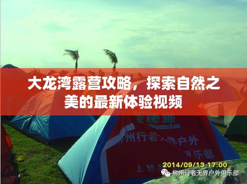 大龍灣露營攻略，探索自然之美的最新體驗視頻
