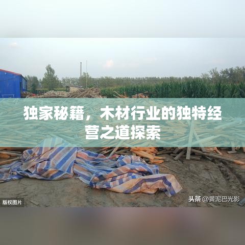 獨(dú)家秘籍，木材行業(yè)的獨(dú)特經(jīng)營(yíng)之道探索