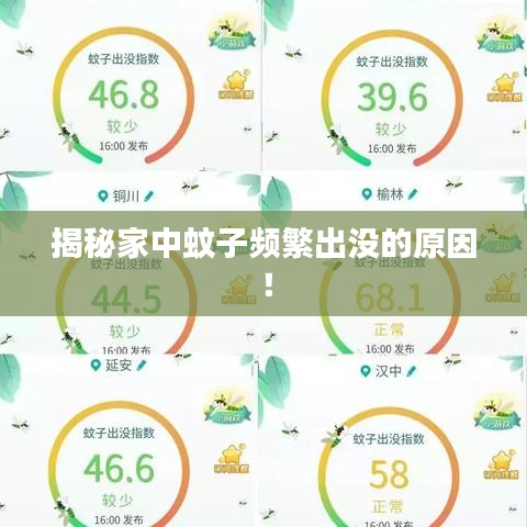 揭秘家中蚊子頻繁出沒的原因！
