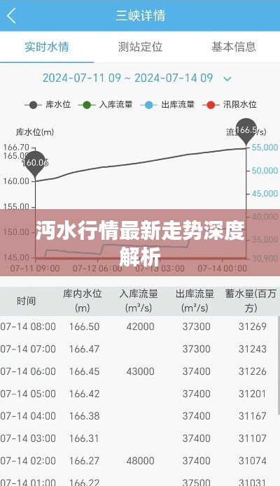 沔水行情最新走勢(shì)深度解析