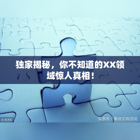 獨家揭秘，你不知道的XX領(lǐng)域驚人真相！