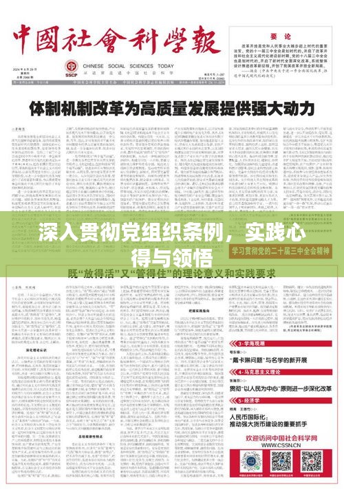 深入貫徹黨組織條例，實踐心得與領(lǐng)悟
