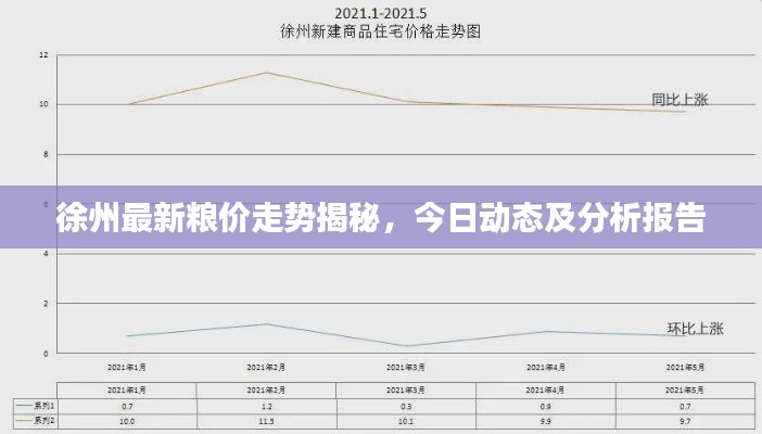 徐州最新糧價走勢揭秘，今日動態(tài)及分析報告