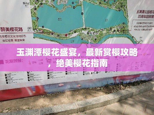 玉淵潭櫻花盛宴，最新賞櫻攻略，絕美櫻花指南