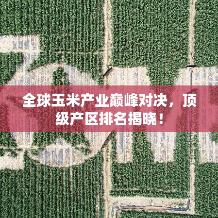 全球玉米產(chǎn)業(yè)巔峰對(duì)決，頂級(jí)產(chǎn)區(qū)排名揭曉！