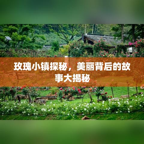玫瑰小鎮(zhèn)探秘，美麗背后的故事大揭秘