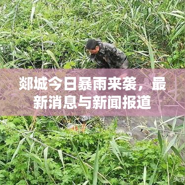 郯城今日暴雨來襲，最新消息與新聞報道