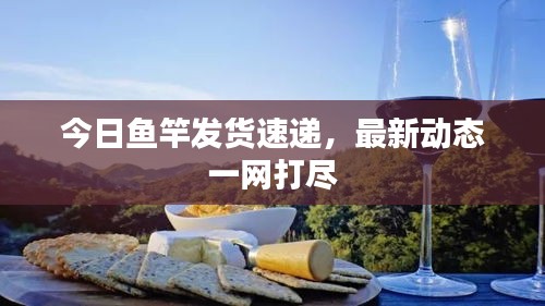 今日魚竿發(fā)貨速遞，最新動態(tài)一網(wǎng)打盡