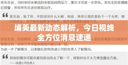 埔美最新動(dòng)態(tài)解析，今日視線全方位消息速遞