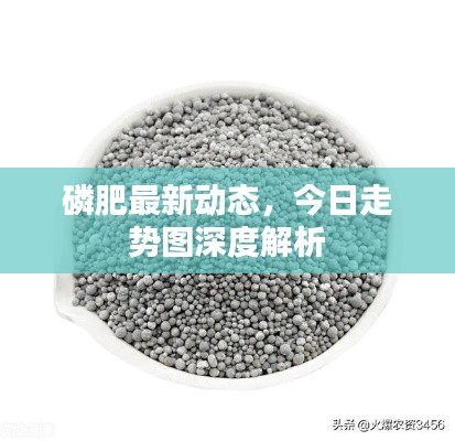 磷肥最新動(dòng)態(tài)，今日走勢(shì)圖深度解析