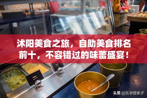 沭陽美食之旅，自助美食排名前十，不容錯過的味蕾盛宴！