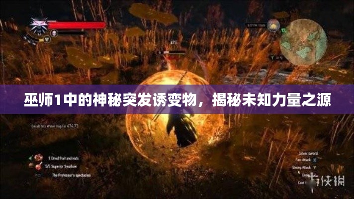 巫師1中的神秘突發(fā)誘變物，揭秘未知力量之源