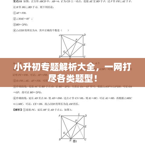 小升初專題解析大全，一網(wǎng)打盡各類題型！