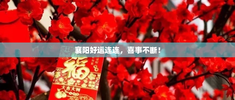 襄陽好運(yùn)連連，喜事不斷！