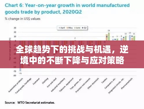 全球趨勢(shì)下的挑戰(zhàn)與機(jī)遇，逆境中的不斷下降與應(yīng)對(duì)策略