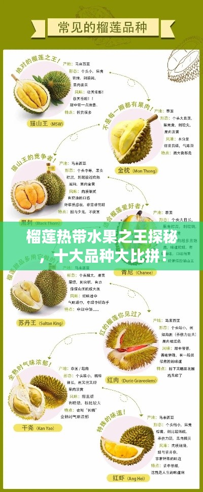 榴蓮熱帶水果之王探秘，十大品種大比拼！