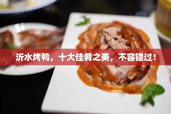 沂水烤鴨，十大佳肴之美，不容錯(cuò)過(guò)！