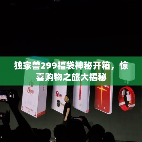 獨家獸299福袋神秘開箱，驚喜購物之旅大揭秘