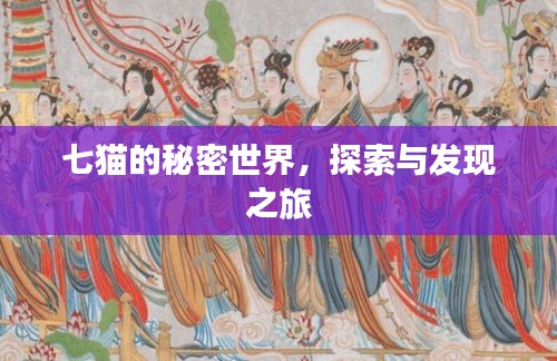 七貓的秘密世界，探索與發(fā)現(xiàn)之旅