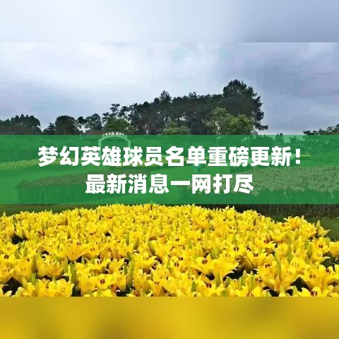 夢幻英雄球員名單重磅更新！最新消息一網(wǎng)打盡