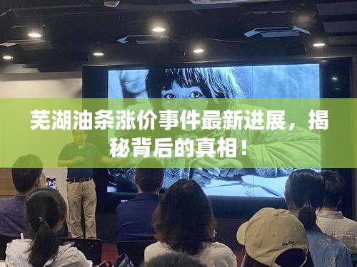 蕪湖油條漲價事件最新進(jìn)展，揭秘背后的真相！