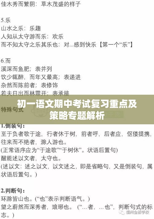 初一語文期中考試復(fù)習重點及策略專題解析