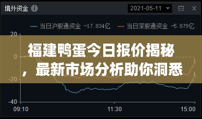 福建鴨蛋今日報價揭秘，最新市場分析助你洞悉行情！