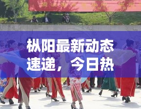 樅陽最新動態(tài)速遞，今日熱點消息一網(wǎng)打盡