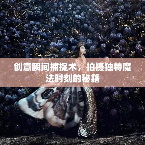 創(chuàng)意瞬間捕捉術(shù)，拍攝獨(dú)特魔法時(shí)刻的秘籍