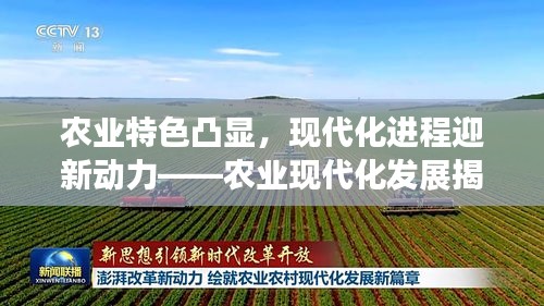 農(nóng)業(yè)特色凸顯，現(xiàn)代化進程迎新動力——農(nóng)業(yè)現(xiàn)代化發(fā)展揭秘！