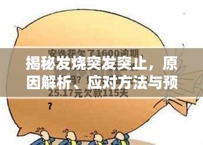 揭秘發(fā)燒突發(fā)突止，原因解析、應對方法與預防策略全攻略
