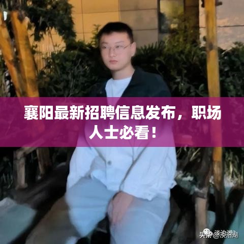 襄陽最新招聘信息發(fā)布，職場(chǎng)人士必看！