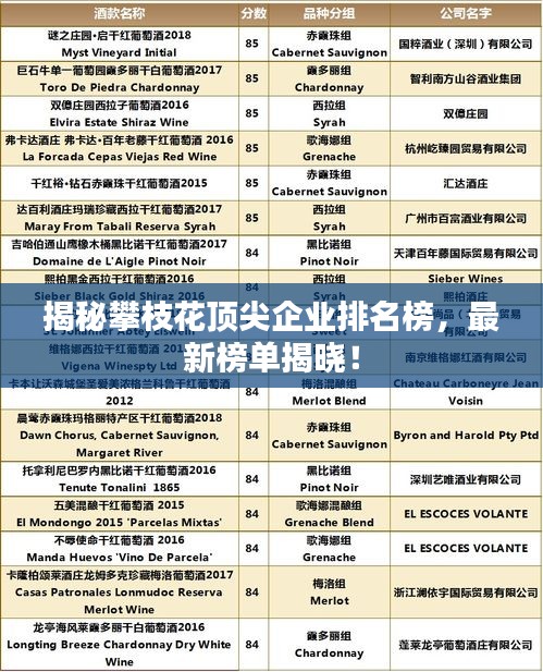 揭秘攀枝花頂尖企業(yè)排名榜，最新榜單揭曉！