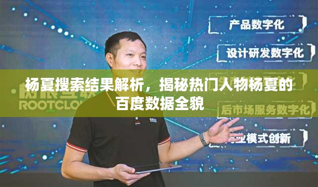 楊夏搜索結(jié)果解析，揭秘?zé)衢T人物楊夏的百度數(shù)據(jù)全貌